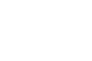 Логотип CSD111